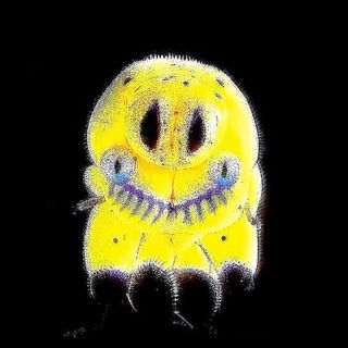 A really messed up version of the Fast Ghost logo. It looks like both it and you have hit the pipe a bit too hard.